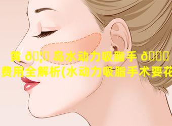 黄 🦉 岛水动力吸脂手 🍀 术费用全解析(水动力吸脂手术要花多少钱)